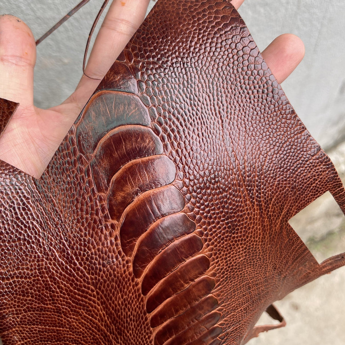 Russet Ostrich Leather Watch Strap - Handmade
