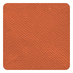 Burnt Orange Epsom leather