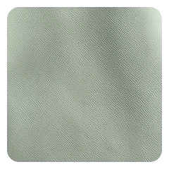 Celadon Green Epsom leather