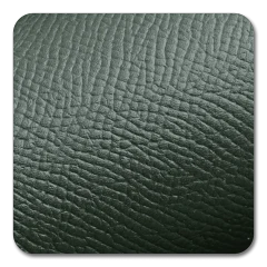 Forest Epsom leather