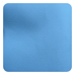 Light Blue Epsom leather