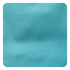 Turquoise Epsom leather